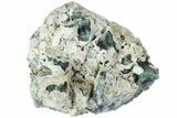 Aragonite Encrusted Fluorite Crystal Cluster - Rogerley Mine #184631-1